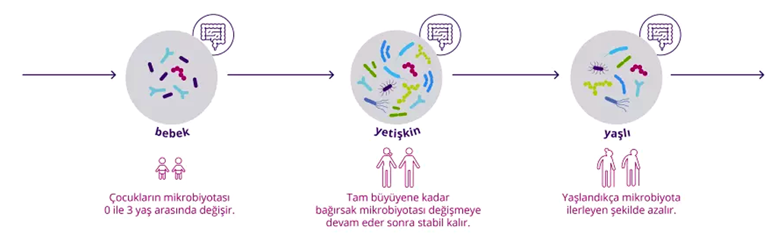 Probiotikler.com :: Mikrobiota ::