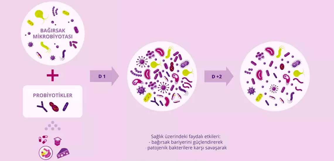 Probiotikler.com :: Probiotikler Hakkında Her Şey ::