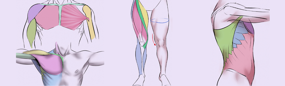Probiotikler.com :: Tüm Vücut Sağlığı ::